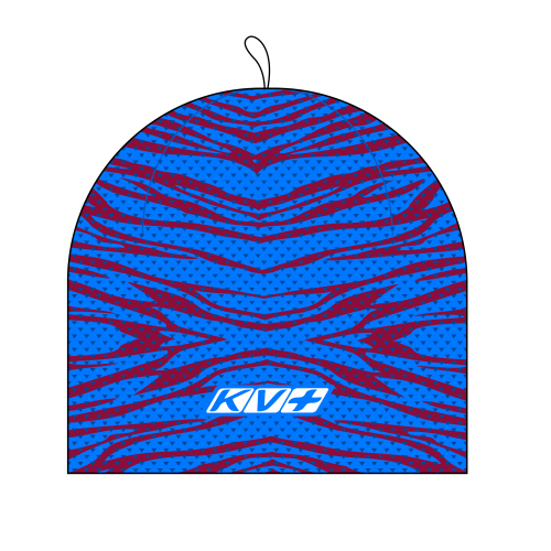 Шапка KV+ Hat PREMIUM 20A02S, 104