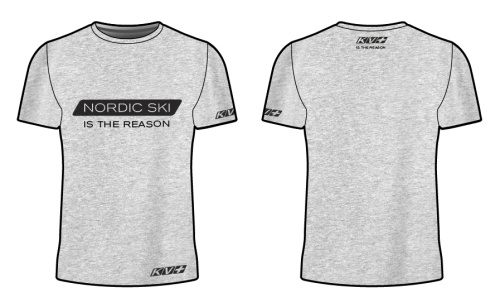 Футболка KV+ NORDIC t-shirt, man, grey 20U148.PR2