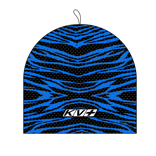 Шапка KV+ Hat PREMIUM 20A02, 107