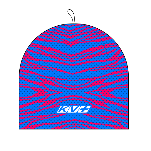 Шапка KV+ Hat PREMIUM 20A02S, 105